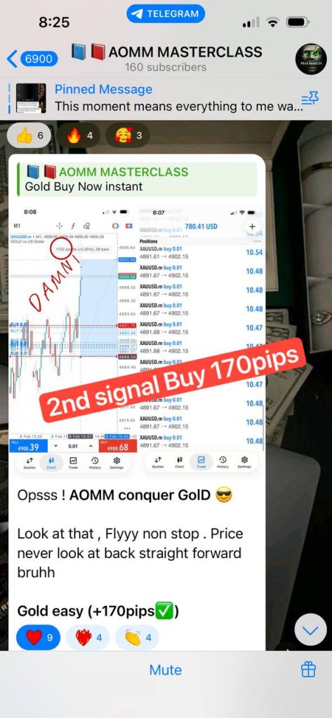 WhatsApp Image 2026-02-17 at 01.10.27 (1)