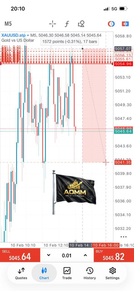 WhatsApp Image 2026-02-17 at 01.10.27