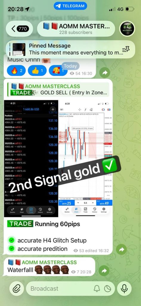 WhatsApp Image 2026-02-17 at 01.10.28 (1)