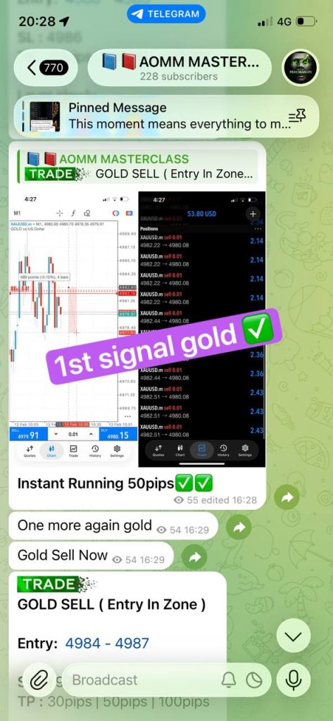 WhatsApp Image 2026-02-17 at 01.10.28 (2)