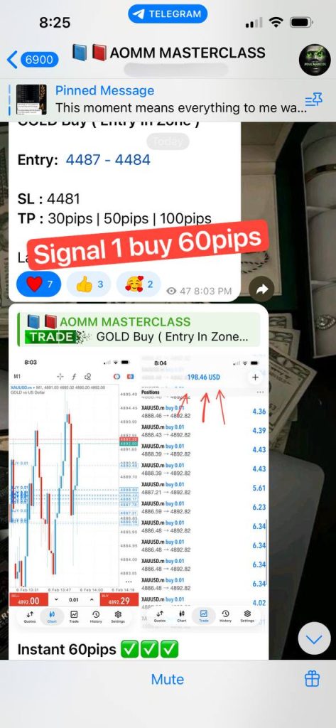 WhatsApp Image 2026-02-17 at 01.10.28